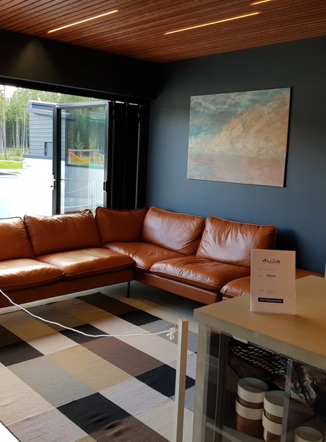 Leidus ka üksikuid julgeid elutubasid – tume sein mõjub väga stiilsena