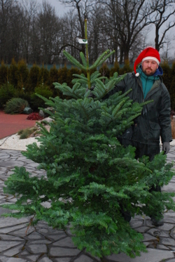 Võida Jõulupuu või resi lõunamaale!!!