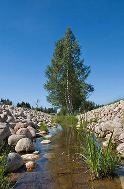 2009. aasta Soome elamumess toimub Valkeakoskis!