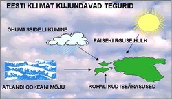 UUS SPETSIALIST nõustamas SW foorumis!