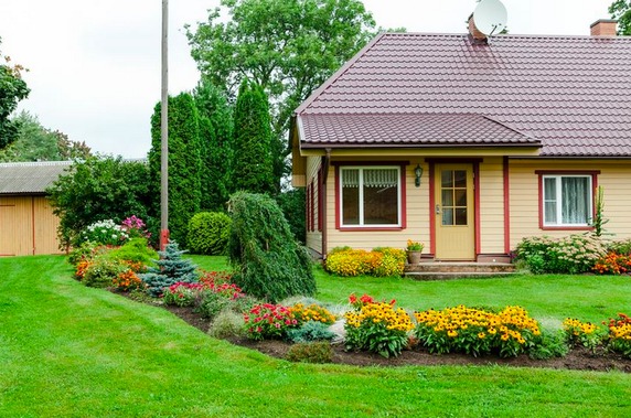 Aiapreemia - Maie Kesksaar