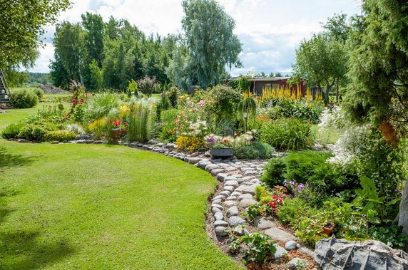 Aiapreemia - Marge Kolla