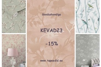 -15% Tapeedistuudios