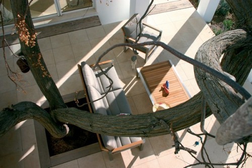 Royal Botania NINIX seeria tiigipuust mööbel