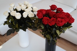 „Long-life roses“ nüüd ka Eestis