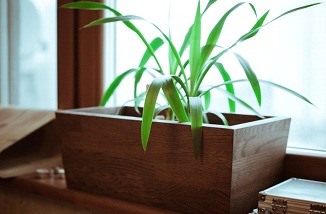 Lillekast Allikas: www.stragendo.ee