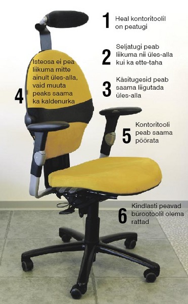 Ergonoomilist kontoritooli peab saama vähemalt kuuest kohast reguleerida. Foto: Meeli Küttim