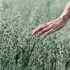 Touch – naturaalne linoleum Touch – naturaalne linoleum