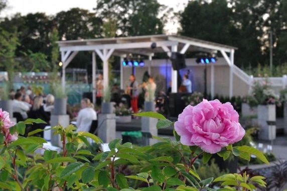 Aiajazz Hansaplant aianduskeskuses - Sisustusweb.ee Aiajazz Hansaplant aianduskeskuses - Sisustusweb.ee