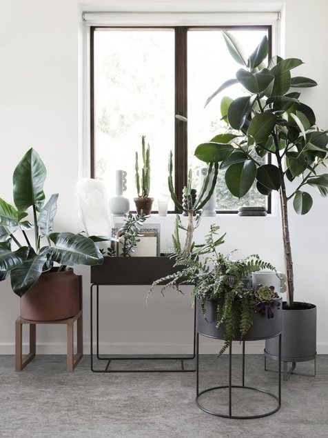 Too toataimedega loodust tuppa koos Plant Box taimekastide ja Bau lillepottidega. Tootja: ferm
LIVING Источник: elkemoobel.ee