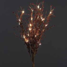 LED valgustusega efektne punaste marjadega puuoks. Alkuperä: www.gardensite.co.uk