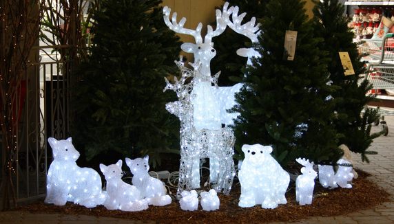 Vahvad ja armsad loomakesed vastu võtmas kalleid külalisi.