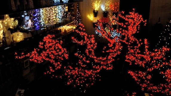 Muuda oma aed kirsiõites valguspuuga vastupandamatult kauniks.