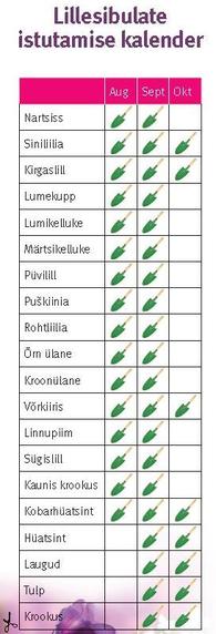  Allikas: www.hortes.ee