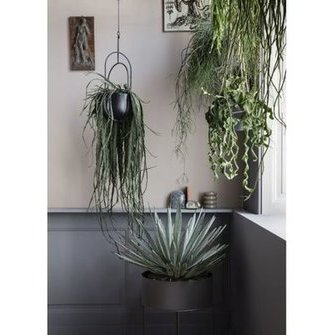  Hanging Deco Pot lillepott ja Plant Box Round taimekast. Tootja ferm LIVING 