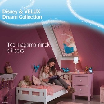   Allikas:  www.veluxshop.ee  