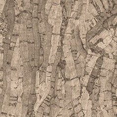   Allikas:  www.tapeedid.ee  