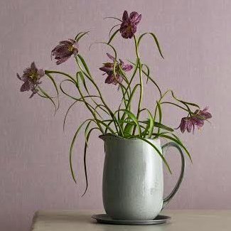   Allikas:  www.varvikeskus.ee  