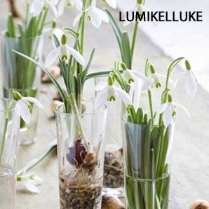   Alkuperä:  www.hortes.ee  