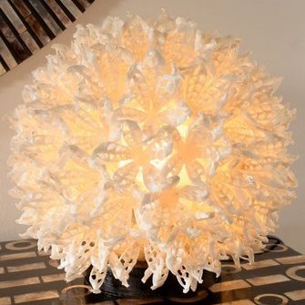   Allikas:  www.bambuskeskus.ee  