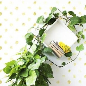   Allikas:  www.tapeedid.ee  