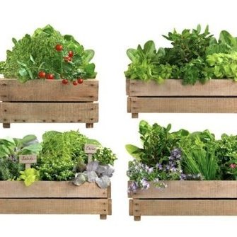   Allikas:  www.tapeedid.ee  