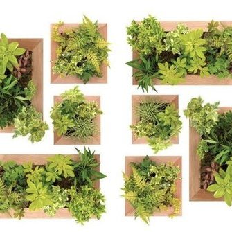   Allikas:  www.tapeedid.ee  