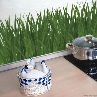   Allikas:  www.tapeedid.ee  