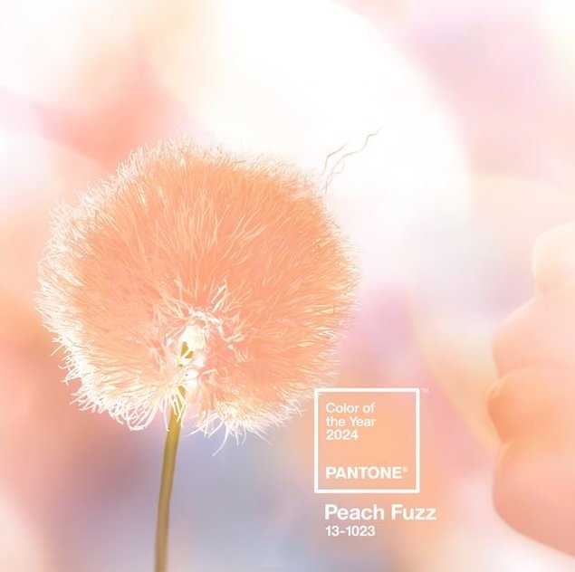 Pantone on selle aasta värviks valinud 13-1023 Peach Fuzz