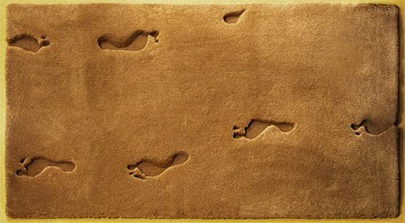 Vaip nagu rannaliiv jalajälgedega. Allikas: amazingly-creative.blogspot.com