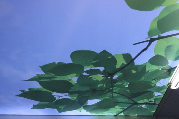 Fotol on näha kvaliteetne õmblus pinglaele prinditud valguslael. Õmblus näeb välja kui peenike niit lae pealispinnal. Õmbluse kvaliteet on väga oluline, et see ei tuleks lakke vaadates liialt esile.  Источник: www.lagi.ee