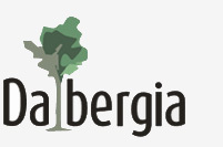 Dalbergia