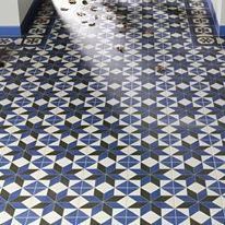 <i>Victorian Geo</i>